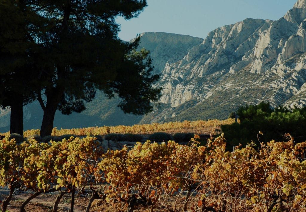 VineyardwmtSainteVictoire-1024x711-min